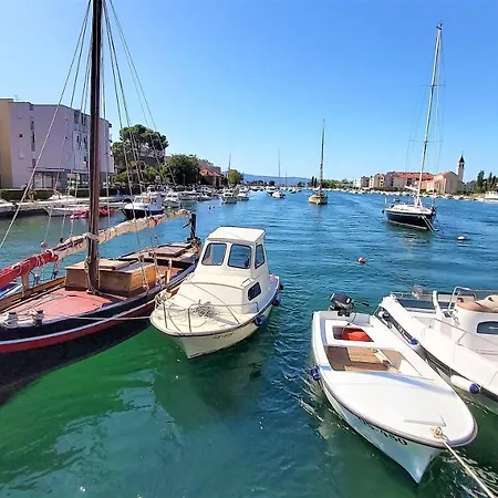 Dada Omiš
