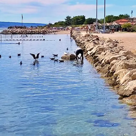 Dada * Omiš